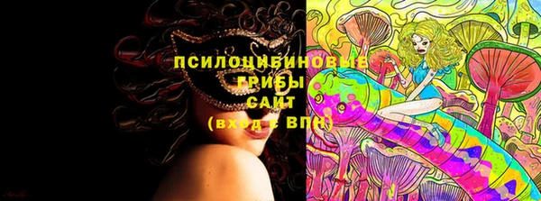 трава Верея