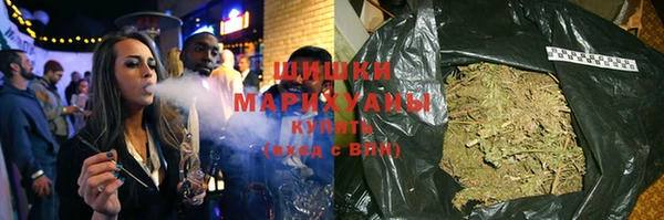 сатива Верхний Тагил