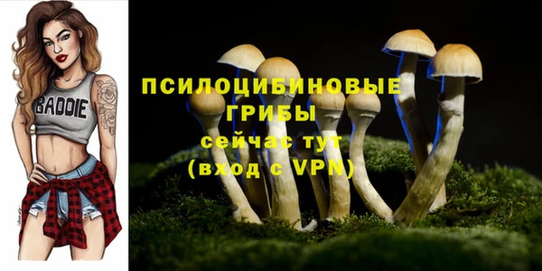 трава Верея