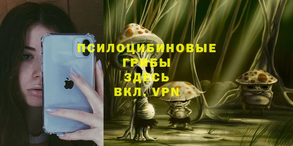 сатива Верхний Тагил