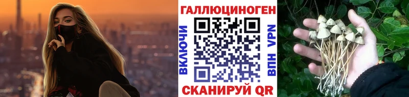 Галлюциногенные грибы Cubensis Приволжский